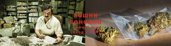 молекула духа Покровск