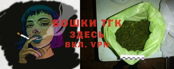 молекула духа Покровск