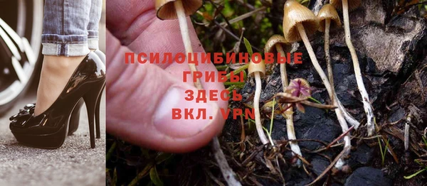 метадон Покачи