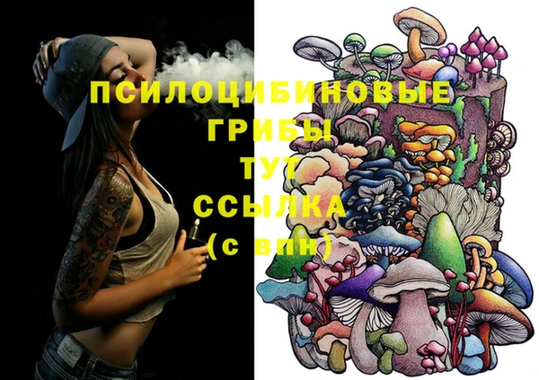 гашик Всеволожск