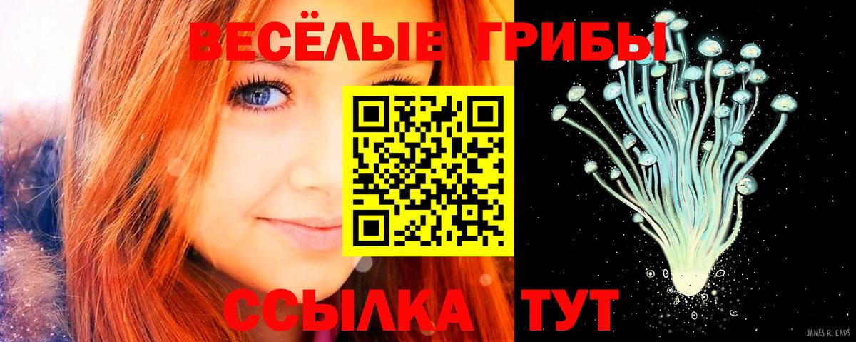 Псилоцибиновые грибы MAGIC MUSHROOMS  цена   Анжеро-Судженск  Галлюциногенные грибы Psilocybine cubensis  Вход с VPN 